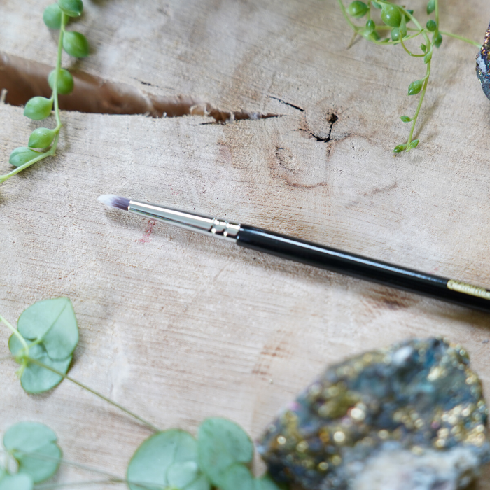 Lippen kwast closeup Sier